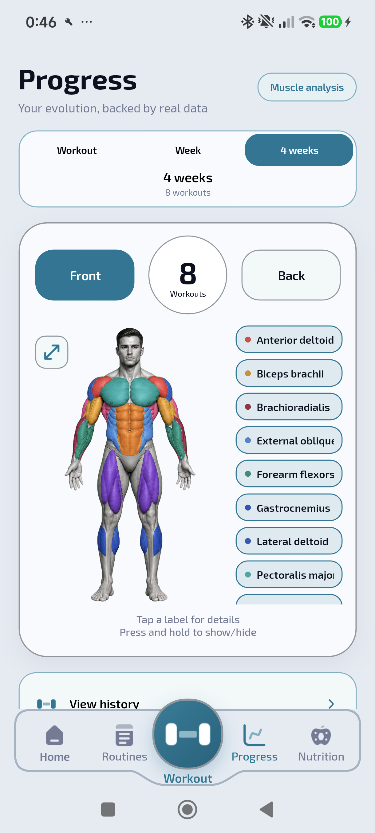 Muscle map